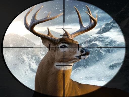 Hunter 3d gameplay