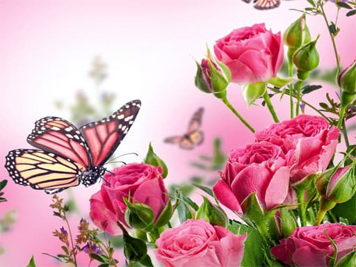Butterflies Puzzle gameplay