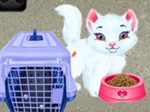 Baby Taylor Pet Care - Save Cute Animals gameplay