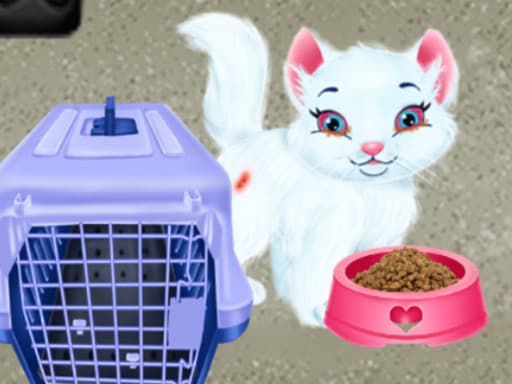 Baby Taylor Pet Care gameplay