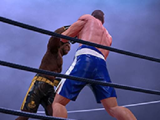 Ultimate Boxing gameplay